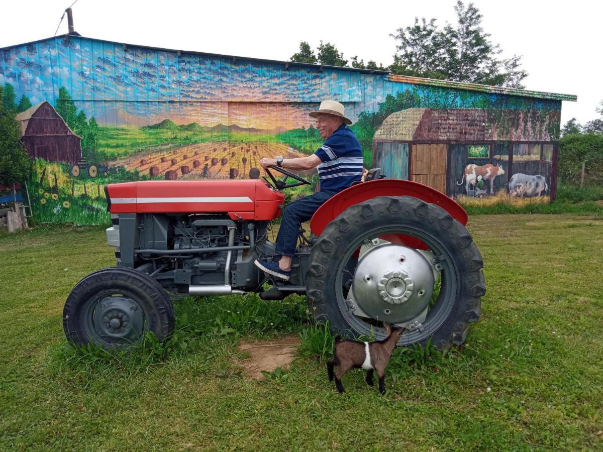 La Petite Ferme De Pouillon - Parc Animalier - Aire De Loisirs Bed & Breakfast Dış mekan fotoğraf