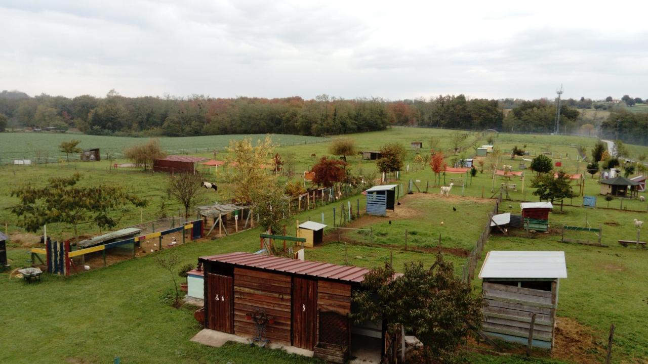La Petite Ferme De Pouillon - Parc Animalier - Aire De Loisirs Bed & Breakfast Dış mekan fotoğraf