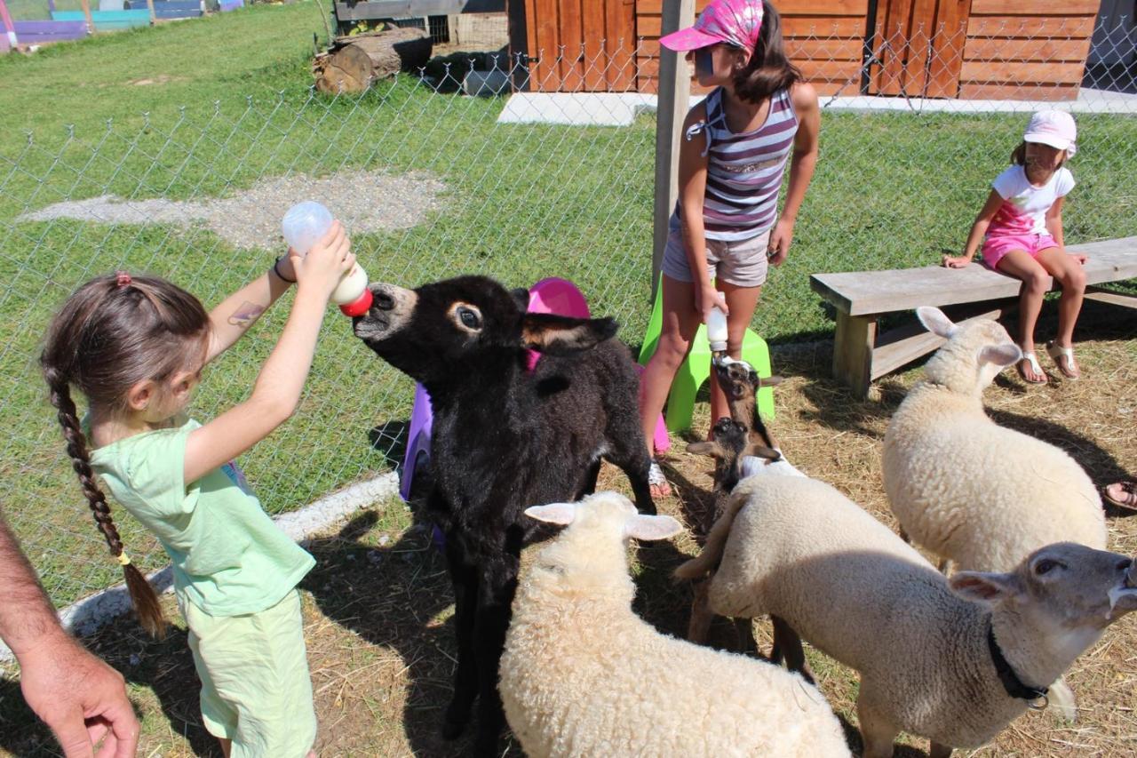 La Petite Ferme De Pouillon - Parc Animalier - Aire De Loisirs Bed & Breakfast Dış mekan fotoğraf