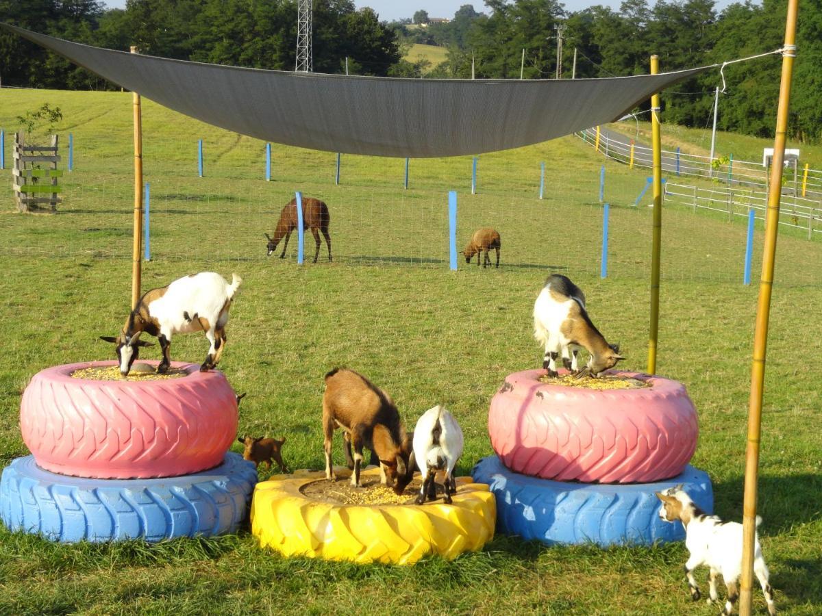 La Petite Ferme De Pouillon - Parc Animalier - Aire De Loisirs Bed & Breakfast Dış mekan fotoğraf